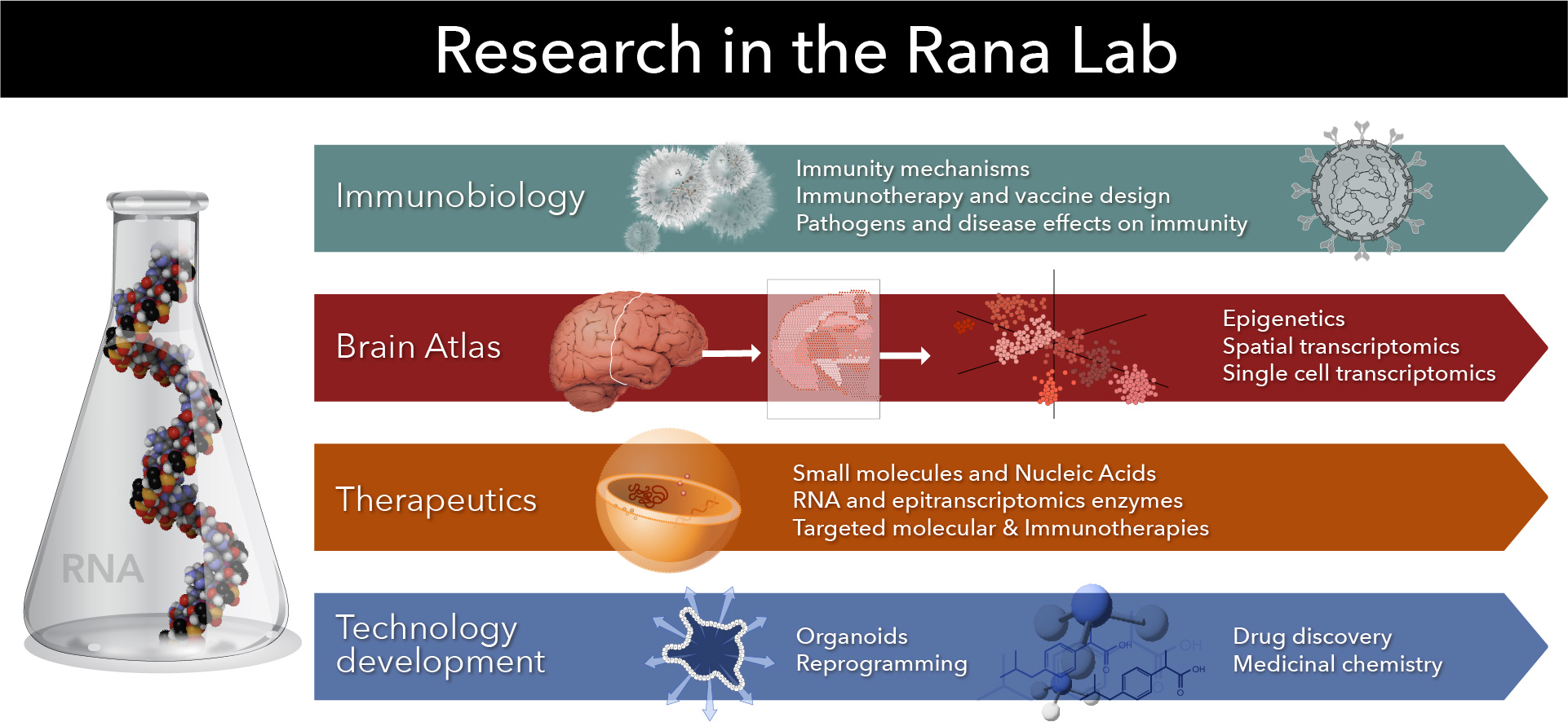Rana Lab
